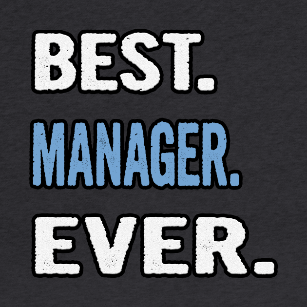 Best. Manager. Ever. Birthday Gift Idea Manager Hoodie TeePublic